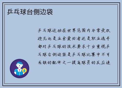 乒乓球台侧边袋