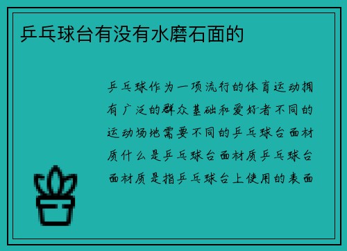 乒乓球台有没有水磨石面的