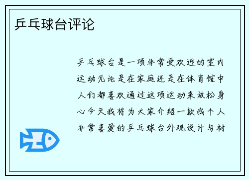 乒乓球台评论