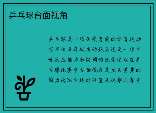 乒乓球台面视角